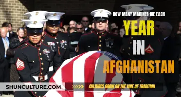 The Human Cost of War: Examining Marine Casualties in Afghanistan