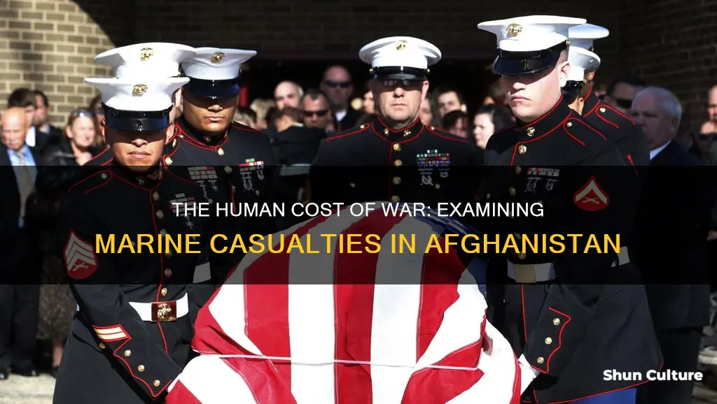 how many marines die each year in afghanistan