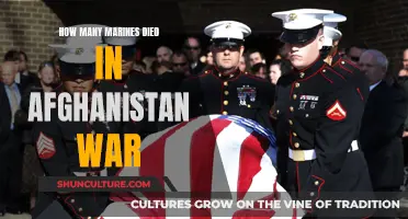 Honoring the Fallen: Remembering the Marine Corps' Sacrifice in Afghanistan