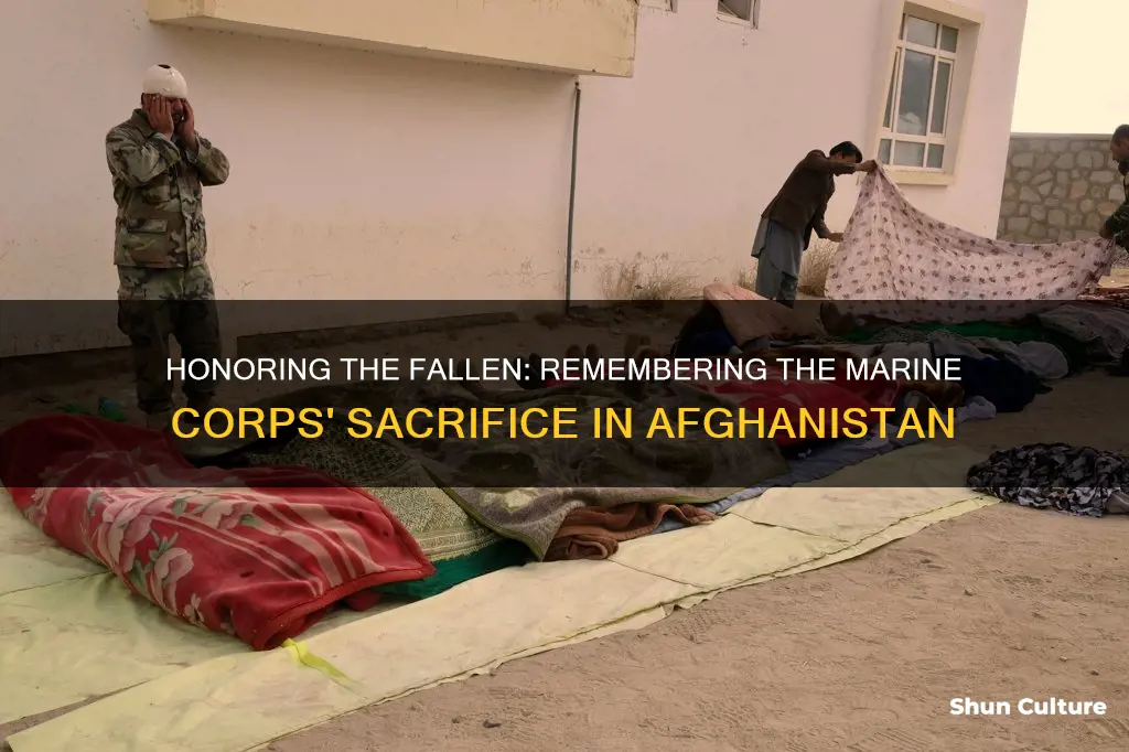 how many marines died in afghanistan war