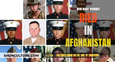 The Human Cost of War: Remembering the Fallen Marines in Afghanistan