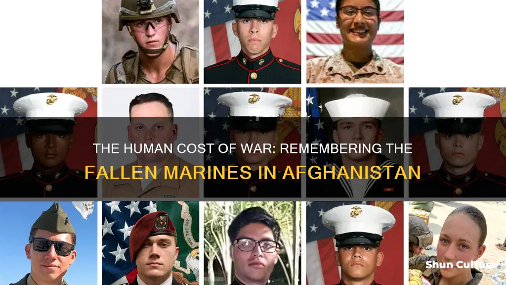 how many marines died in afghanistan