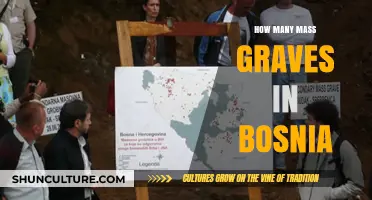 Uncovering Bosnia's Mass Graves: A Haunting Legacy of War