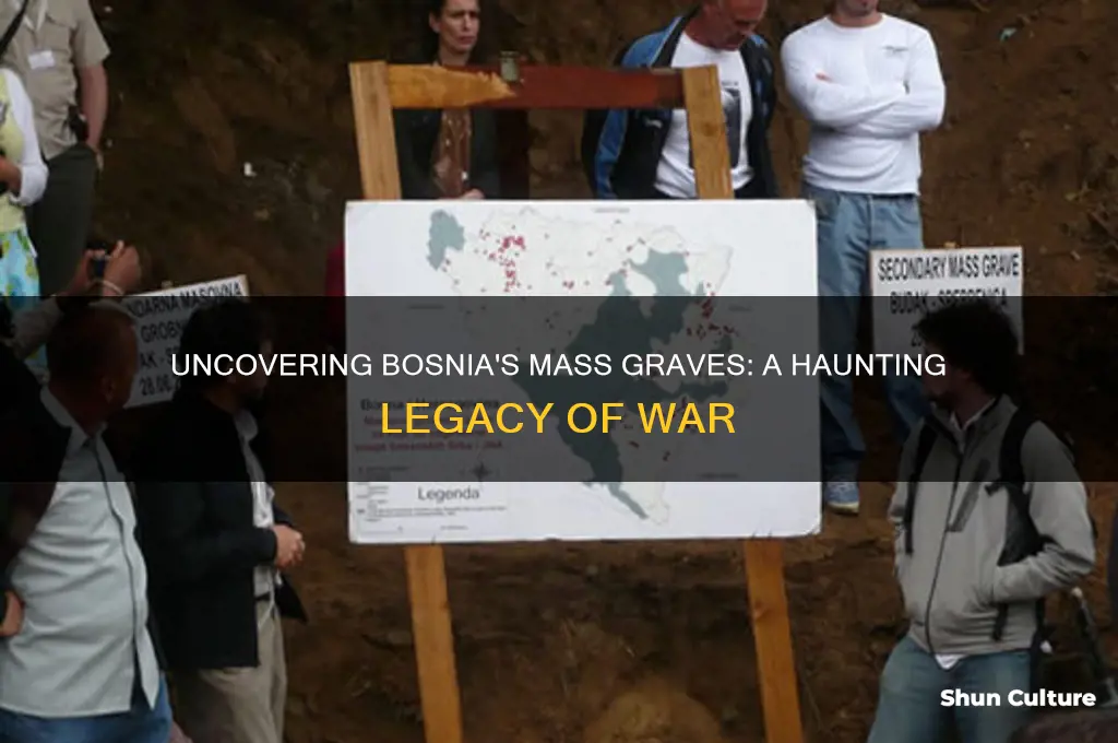 how many mass graves in bosnia