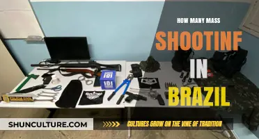 Brazil's Mass Shooting Crisis: Frequency, Causes, and Prevention Strategies