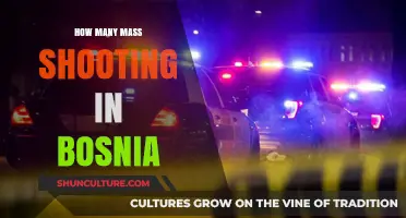 Mass Shootings in Bosnia: Analyzing Frequency and Impact on Society