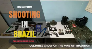 Brazil's Mass Shooting Crisis: Frequency, Causes, and Prevention Strategies