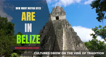 Belize's Bounty: Exploring the Many Mayan Sites