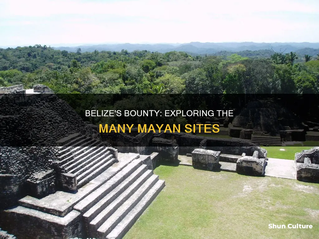 how many mayan sites are in belize