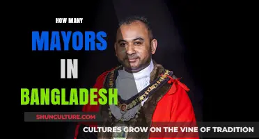 Exploring Bangladesh's Local Governance: The Number of Mayors Nationwide