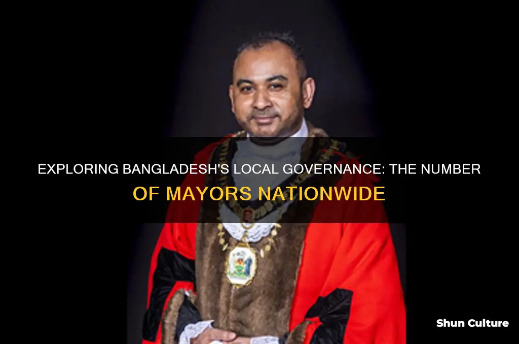 how many mayors in bangladesh