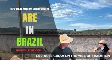 Exploring Brazil's Agricultural Landscape: Medium-Sized Farmers Count Revealed