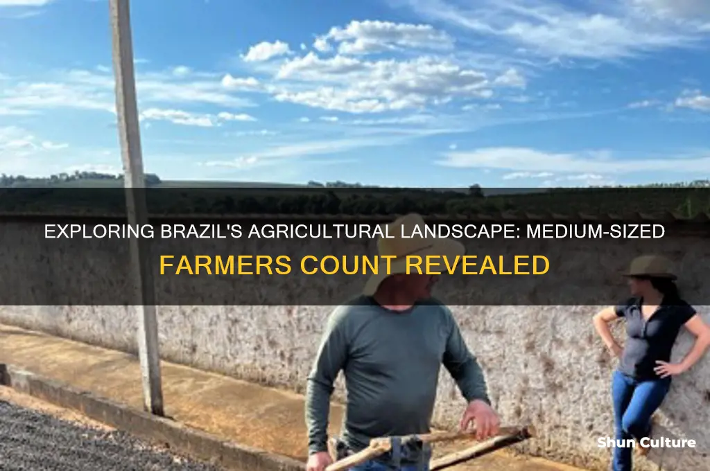 how many medium sized farmers are in brazil