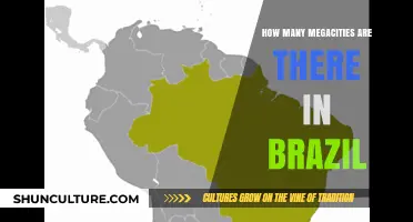 Exploring Brazil's Urban Giants: Megacities Count and Impact