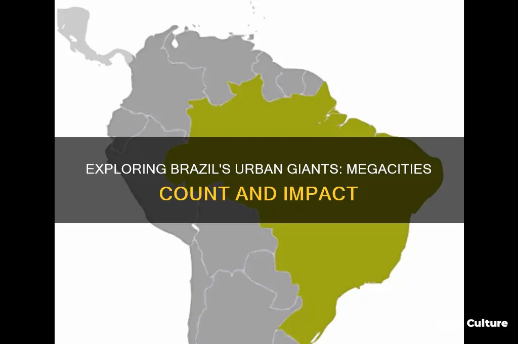 how many megacities are there in brazil