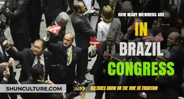 Understanding Brazil's Congress: Total Members and Legislative Structure Explained