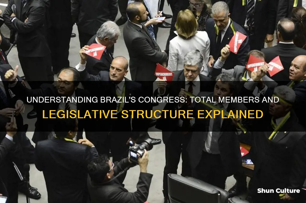 how many members are in brazil congress