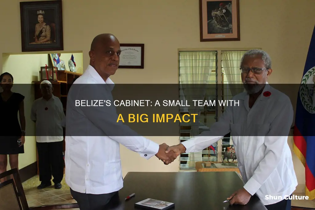 how many members are in the cabinet of belize