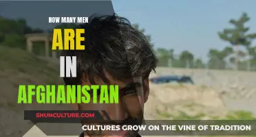 Afghanistan's Male Population: Unraveling the Numbers