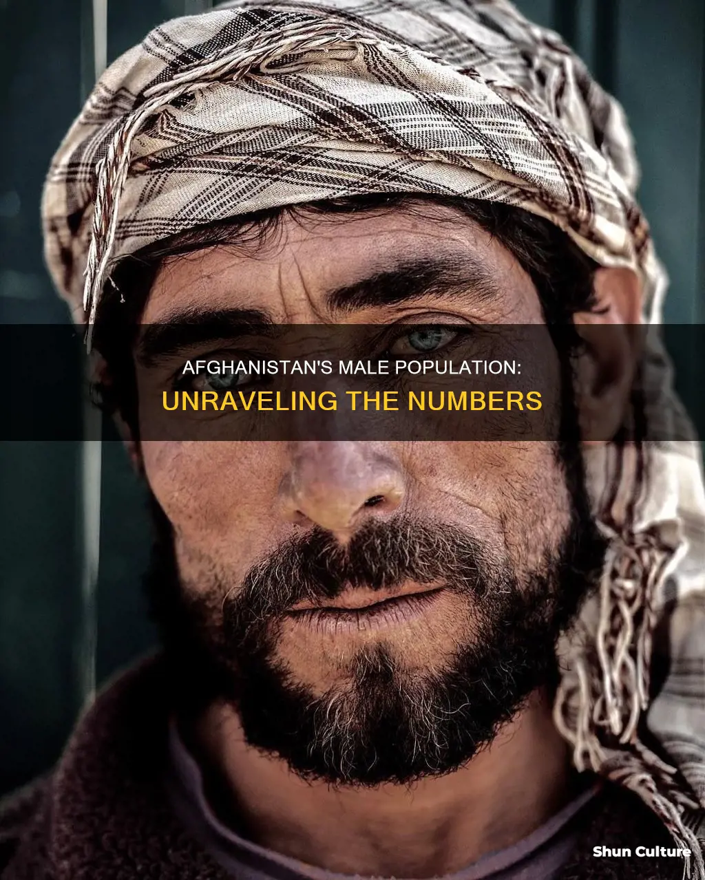 how many men are in afghanistan