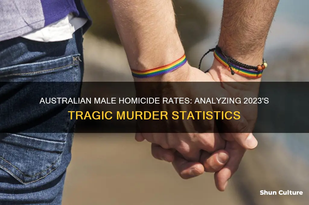 how many men have been murdered in australia this year