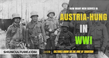 A Nation's Sacrifice: Unveiling Austria-Hungary's WWI Soldier Count