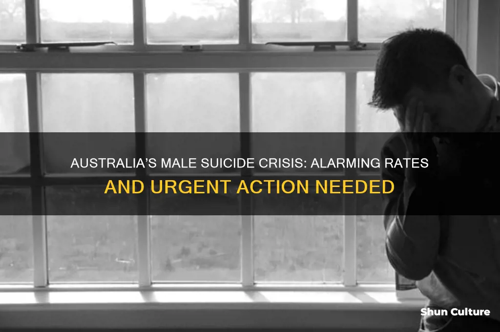 how many men suicide in australia this year