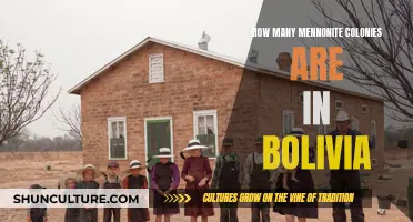 Exploring the Mennonite Colonies in Bolivia