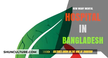 Exploring Bangladesh's Mental Health Care: Counting Psychiatric Facilities Nationwide