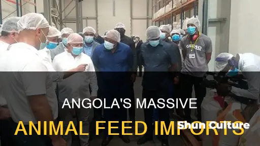 how many metric tons of animal feed does angola import