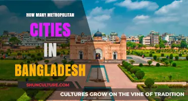 Exploring Bangladesh's Urban Landscape: Metropolitan Cities Count Revealed