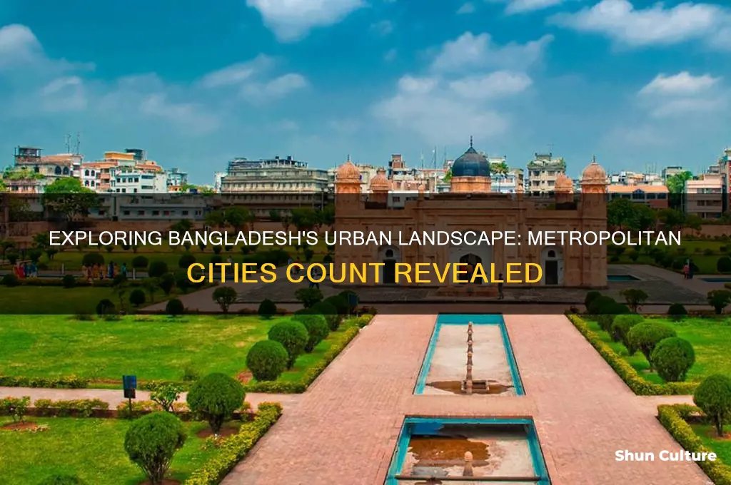 how many metropolitan cities in bangladesh