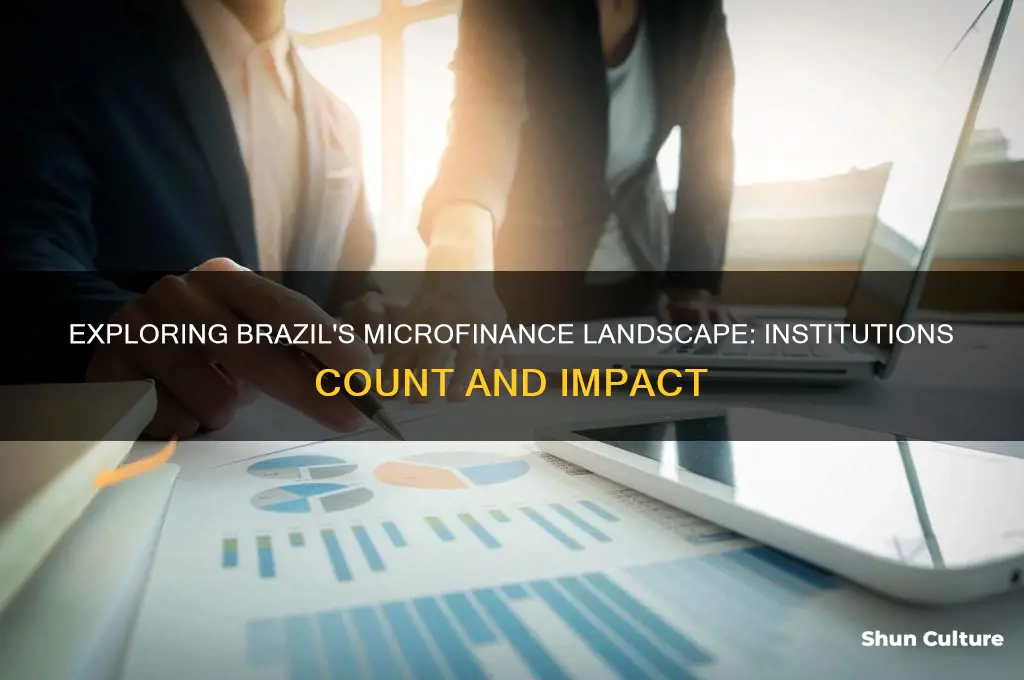 how many microfinance institutions are there in brazil