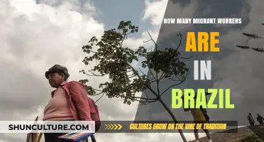 Migrant Workers in Brazil: Unveiling the Scale of Labor Migration