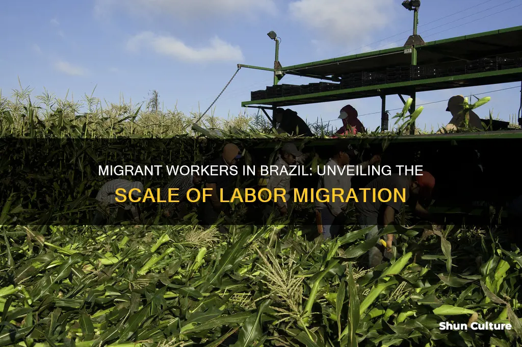 how many migrant workers are in brazil
