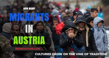 Austria's Migrant Population: A Comprehensive Overview