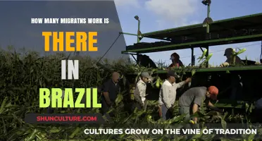Exploring Brazil's Migrant Workforce: Numbers, Trends, and Contributions