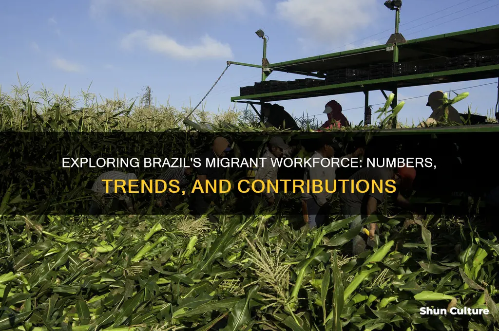 how many migratns work is there in brazil