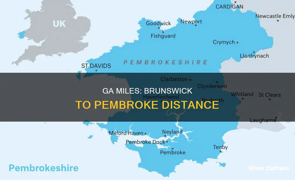 how many mile from brunswick ga to pembroke ga