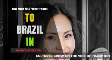 Distance from Fort Wayne to Brazil: A Mileage Breakdown