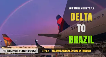 Delta Flights to Brazil: Mileage Guide for Travelers
