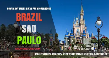 Orlando to Brazil: Distance to Sao Paulo Revealed