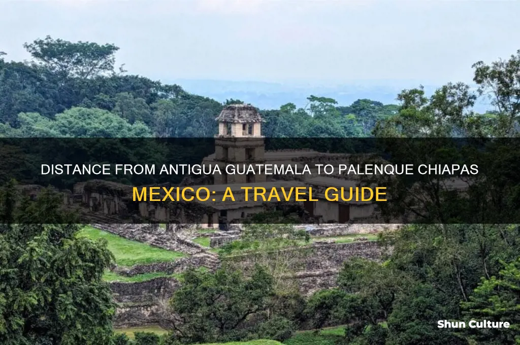 how many miles between antigua guatemala to palenque chiapas mexico