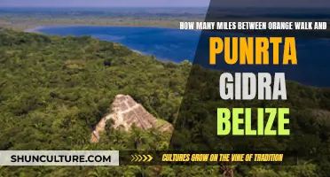 Miles to Measure: Exploring the Distance Between Orange Walk and Punta Gorda, Belize