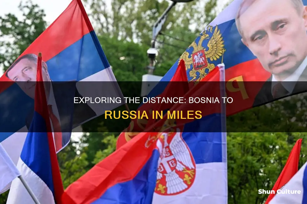how many miles for bosnia to russia