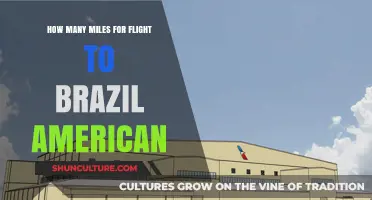 Flight Miles to Brazil: American Airlines Travel Guide
