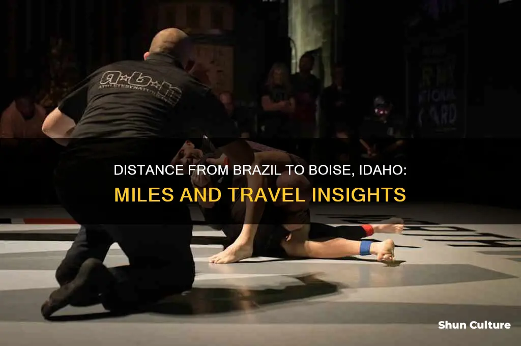 how many miles from brazil to boise ida