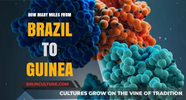 Exploring the Distance: Brazil to Guinea in Miles