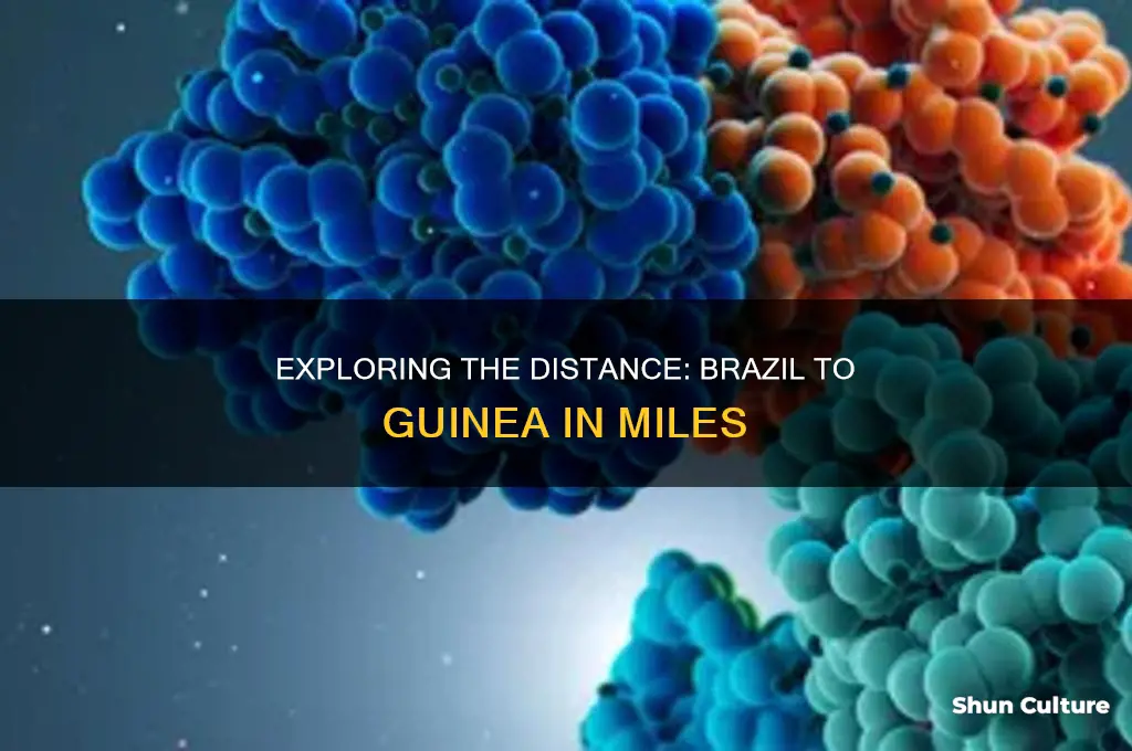 how many miles from brazil to guinea