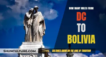 Exploring the Distance: DC to Bolivia Miles Adventure